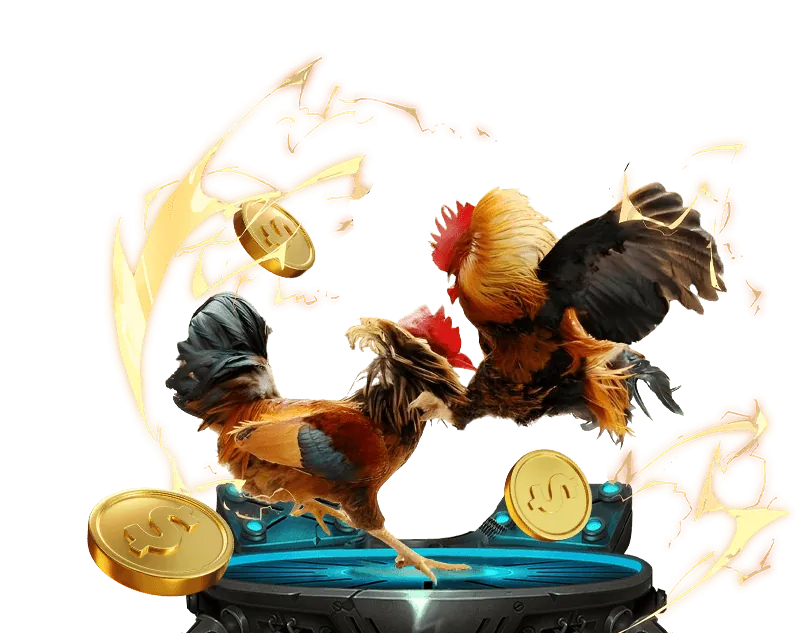 Chương trình VIP tài xỉu web